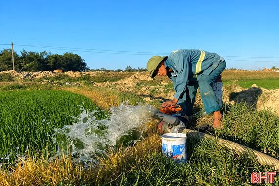 Tăng cường điều tiết nước, đảm bảo lúa hè thu sinh trưởng ổn định