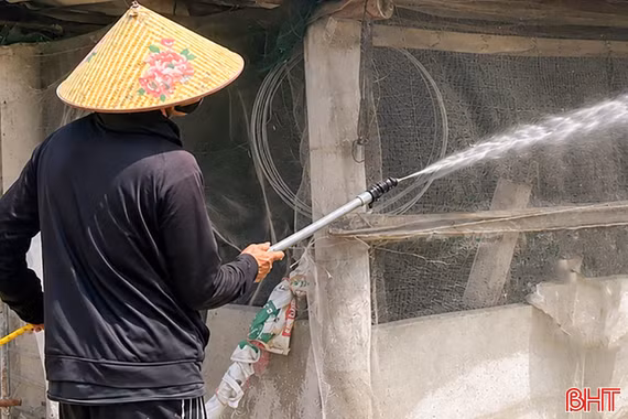 "Lá chắn sinh học" trước dịch tả lợn châu Phi