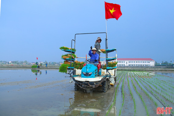 Chủ động sản xuất, tạo đột phá trong vụ xuân 2026