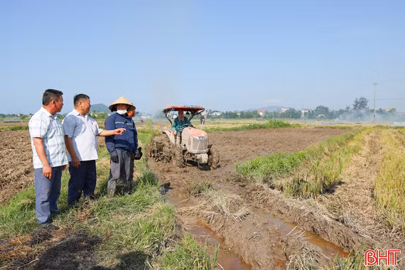 Chủ động sản xuất hè thu, né thời tiết bất lợi vào cuối vụ