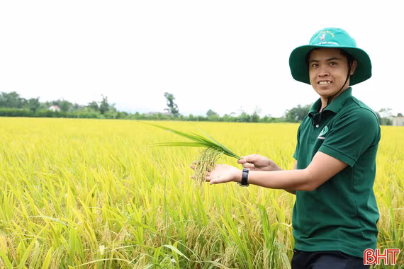 Hà Tĩnh thúc đẩy canh tác "xanh", hướng tới xây dựng nông thôn mới bền vững