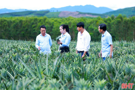 Bước chuyển trên hành trình xây dựng nông thôn mới 