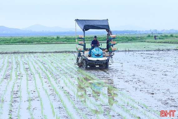 Thời vụ chưa đảm bảo, sản xuất hè thu tiềm ẩn bất lợi