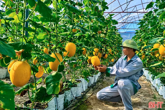 Ứng dụng khoa học - công nghệ tạo đột phá trong xây dựng nông thôn mới