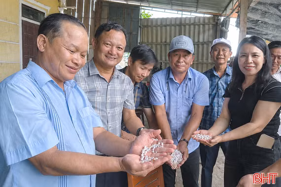 Cận cảnh thu hoạch ngọc trai quy mô lớn nhất ở Hà Tĩnh