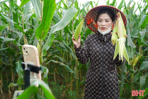 Từ ruộng đồng đến nền tảng số, phụ nữ Hà Tĩnh mạnh mẽ vươn lên