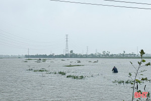 Nước lũ dâng cao, nhiều người vẫn liều mình đánh bắt cá 