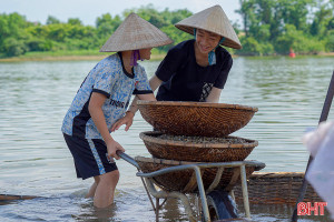 Ngọt mát hến dòng La