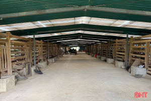 Trang trại xanh giữa miền biên giới Hà Tĩnh