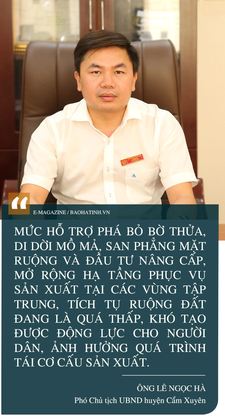 Tập trung, tích tụ ruộng đất - kiến tạo nền nông nghiệp hiện đại, bền vững (Bài cuối): Phát huy sức mạnh tổng hợp, vững bước trên đường lớn ảnh 10 Tập trung, tích tụ ruộng đất - kiến tạo nền nông nghiệp hiện đại, bền vững (Bài cuối): Phát huy sức mạnh tổng hợp, vững bước trên đường lớn