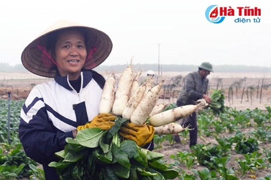 Tiếp tục thi đua lao động, sáng tạo, xây dựng gia đình hạnh phúc ảnh 2