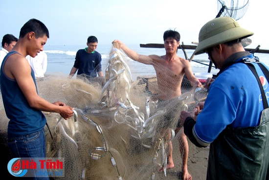 Lao động nghề biển (bài 3): Tiếp sức ngư dân giữ lửa nghề ảnh 2