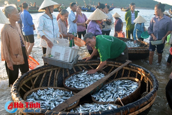 Lao động nghề biển (bài 3): Tiếp sức ngư dân giữ lửa nghề ảnh 1