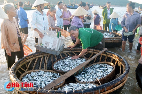 Lao động nghề biển (bài 2): Khoảng trống chất lượng tay nghề ảnh 2