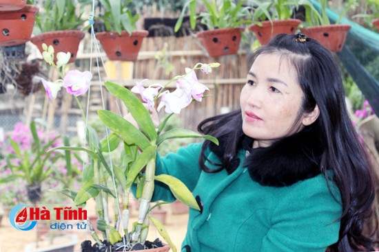 Nhộn nhịp thị trường hoa, cây cảnh ảnh 2 Nhộn nhịp thị trường hoa, cây cảnh ảnh 2