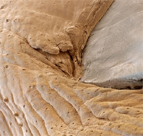 Lột trần bộ mặt thật của cuộc sống khiến bạn "muốn xỉu" ảnh 8