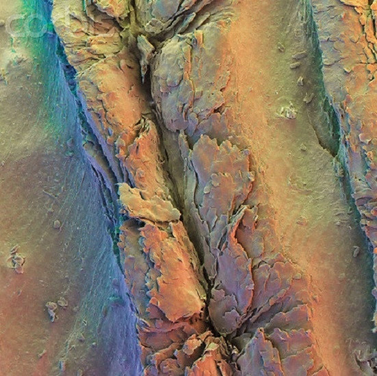 Lột trần bộ mặt thật của cuộc sống khiến bạn "muốn xỉu" ảnh 7