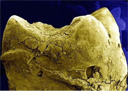 Lột trần bộ mặt thật của cuộc sống khiến bạn "muốn xỉu" ảnh 1