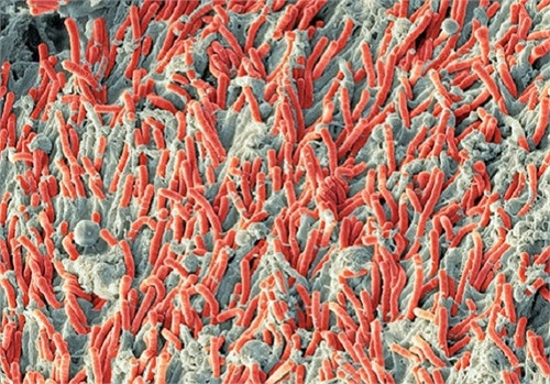 Lột trần bộ mặt thật của cuộc sống khiến bạn "muốn xỉu" ảnh 2