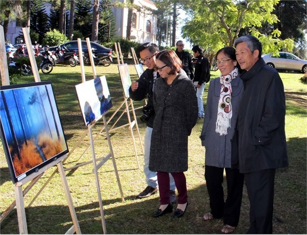 Đà Lạt hoa "tràn xuống phố" chờ khai hội ảnh 10