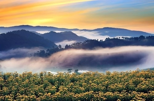 Ảnh Đà Lạt huyền ảo trong sương khiến vạn người mê ảnh 4