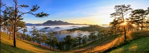 Ảnh Đà Lạt huyền ảo trong sương khiến vạn người mê ảnh 5