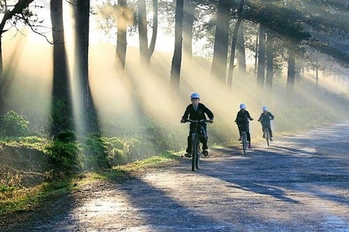 Ảnh Đà Lạt huyền ảo trong sương khiến vạn người mê ảnh 3