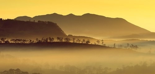 Ảnh Đà Lạt huyền ảo trong sương khiến vạn người mê ảnh 2