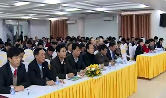 Tiếp tục dồn sức cho tái cơ cấu, tổ chức lại sản xuất nông nghiệp ảnh 1