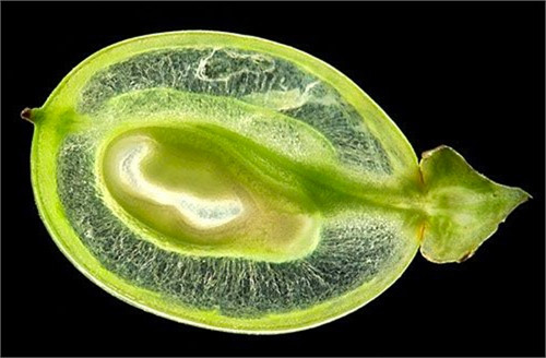 Lột trần bộ mặt thật của cuộc sống khiến bạn "muốn xỉu" ảnh 13