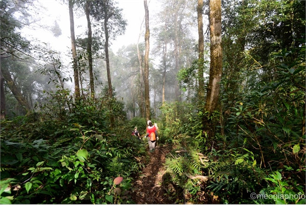 Sau một buổi chiều băng rừng vượt suối từ chân núi, nơi bản Kỳ Quan San của xã Sàng Ma Sáo tới độ cao 2.000 m, chúng tôi dựng lều và nghỉ đêm tại đây.