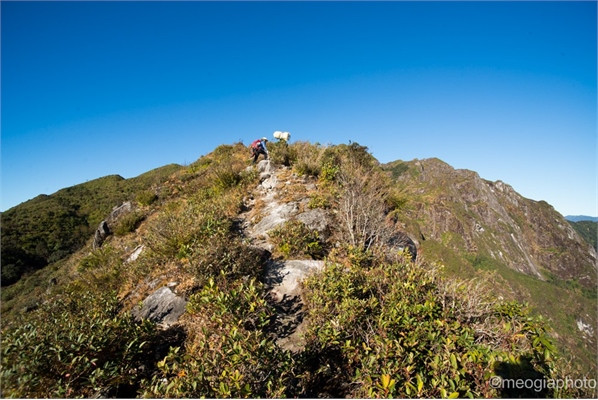 Săn mây trên đỉnh núi cao hơn 3.000 m của Việt Nam ảnh 9