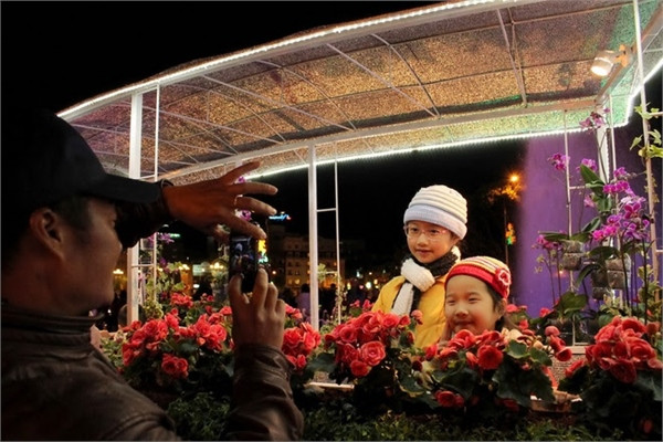 Đà Lạt hoa "tràn xuống phố" chờ khai hội ảnh 7