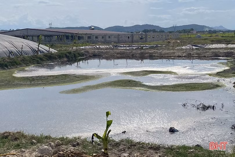 Công ty TNHH Khánh Giang thực hiện cam kết xử lý ô nhiễm môi trường