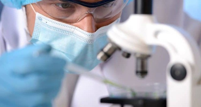 Có thể loại trừ COVID-19 trong tương lai hay không? - Ảnh 3. Có thể loại trừ COVID-19 trong tương lai hay không?