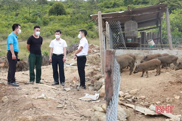 Ra mắt mô hình kinh tế thanh niên Hà Tĩnh có sự hỗ trợ vốn của Trung ương Đoàn