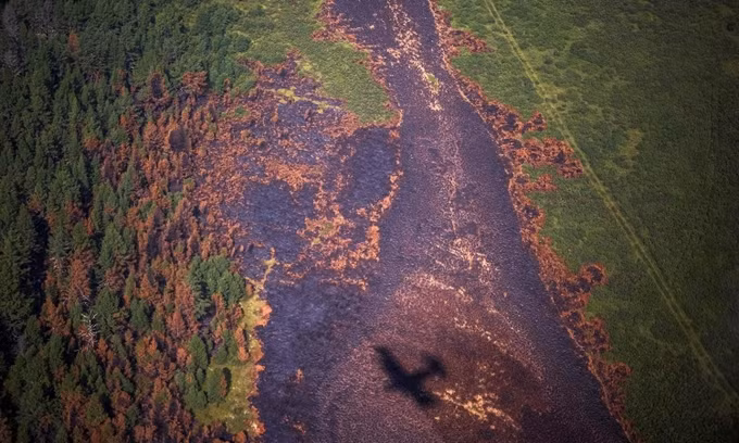 Cháy rừng Siberia lớn hơn mọi hỏa hoạn toàn cầu cộng lại