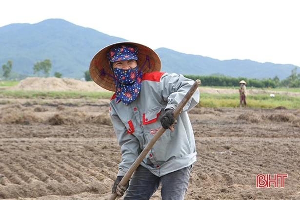 Hà Tĩnh là một trong 15 tỉnh phát triển BHXH, BHYT, BHTN tốt nhất cả nước