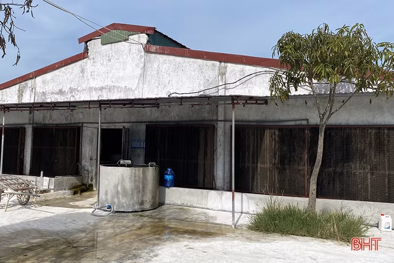 Sự thật vụ việc Công ty TNHH Khánh Giang chăn nuôi lợn trái phép, gây ô nhiễm môi trường