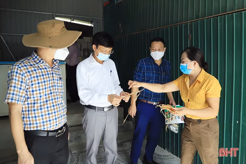 Cẩm Xuyên có 7 sản phẩm tham gia đánh giá, phân hạng sản phẩm OCOP đợt 1/2021