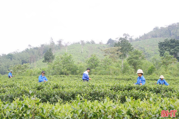 Những khối óc, bàn tay mở đường, kiến tạo miền biên cương giàu đẹp