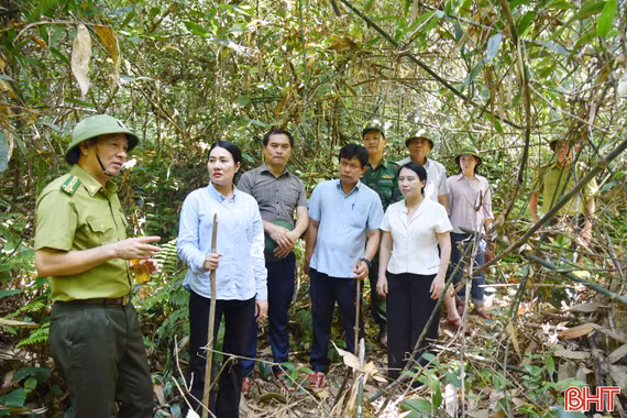 Vượt khó, giữ màu xanh cho những cánh rừng
