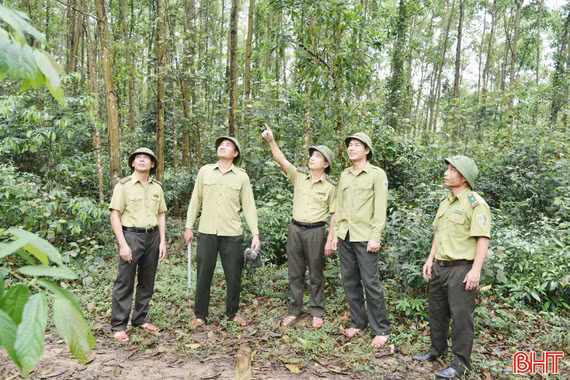 Bảo vệ hơn 100 nghìn hecta rừng ở nơi nắng nóng nhất Hà Tĩnh