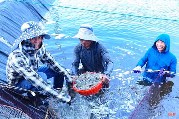 Hà Tĩnh thu hơn 410 tỷ đồng từ nuôi trồng thủy sản