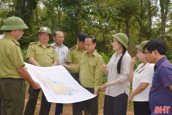 Khảo sát công tác bảo vệ rừng khu vực núi Hồng Lĩnh
