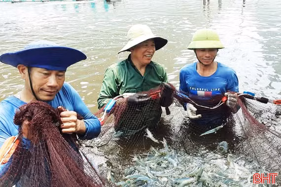 Lộc Hà phát huy lợi thế, nâng cao giá trị ngành thủy sản
