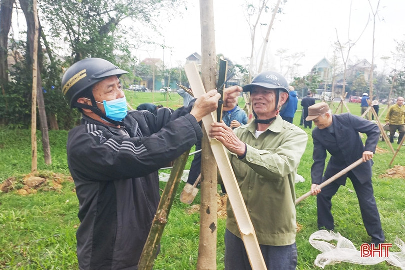 TP Hà Tĩnh ra quân hưởng ứng ngày cây xanh thành phố