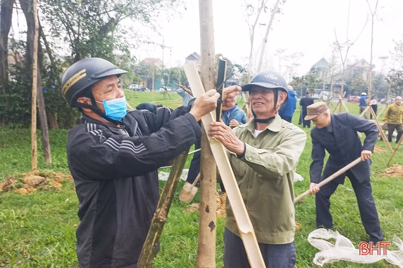 TP Hà Tĩnh ra quân hưởng ứng ngày cây xanh thành phố