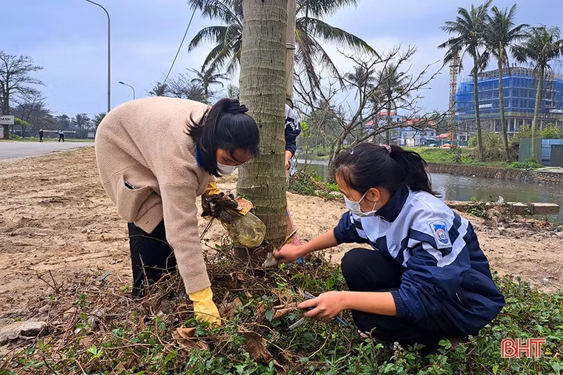 Hơn 350 đoàn viên thanh niên ra quân làm sạch biển Xuân Thành