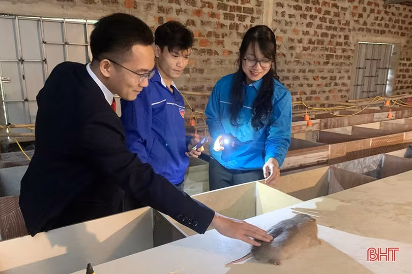 Tuổi trẻ Hà Tĩnh đồng loạt ra quân hưởng ứng Tháng Thanh niên